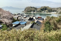 20220330尾道市05