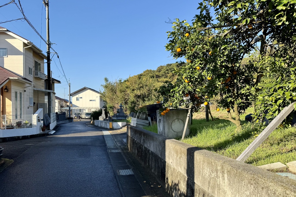 20241202松山市31