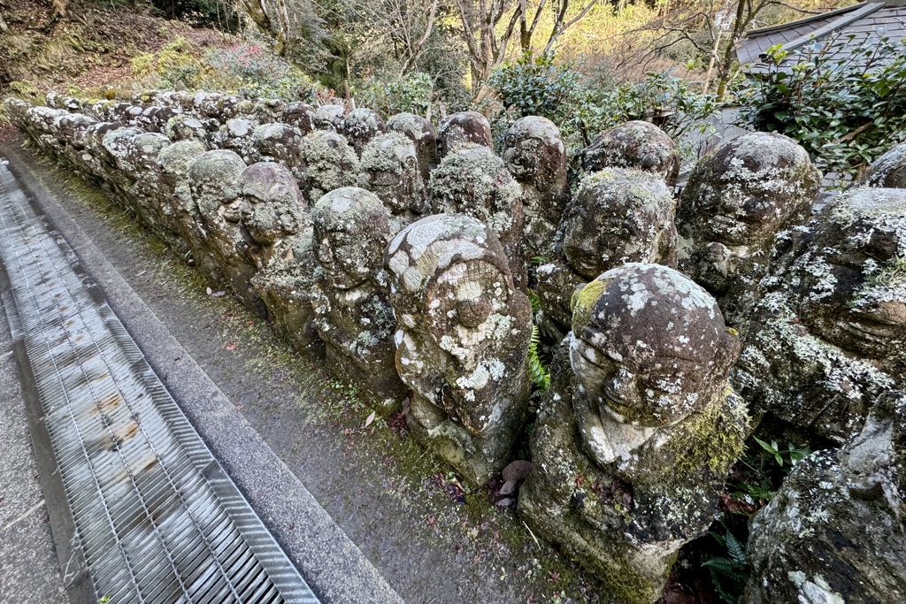 20240104右京区25