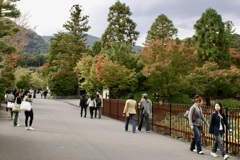 20071102右京区11