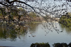 20050405大阪市住吉区07