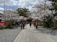 20250404京都市北区36