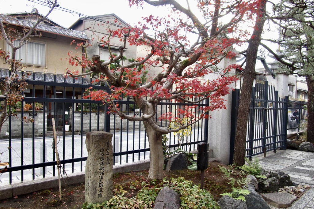 20181205東山区04