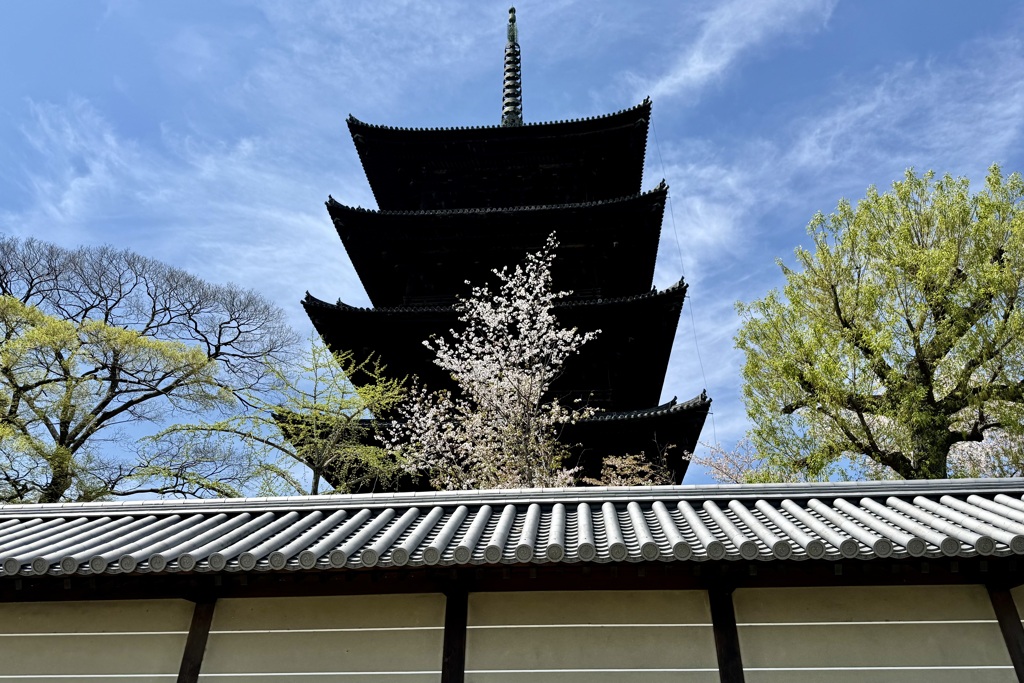 20240412京都市南区04