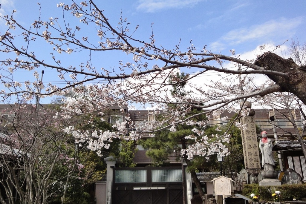 20100329豊中市14