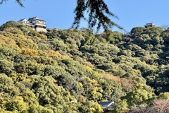 20241204松山市c07