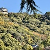 20241204松山市c07