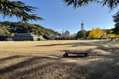 20241204松山市c08