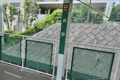 20240620佐倉市06
