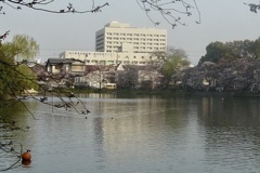 20050405大阪市住吉区08