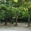 20040604左京区06