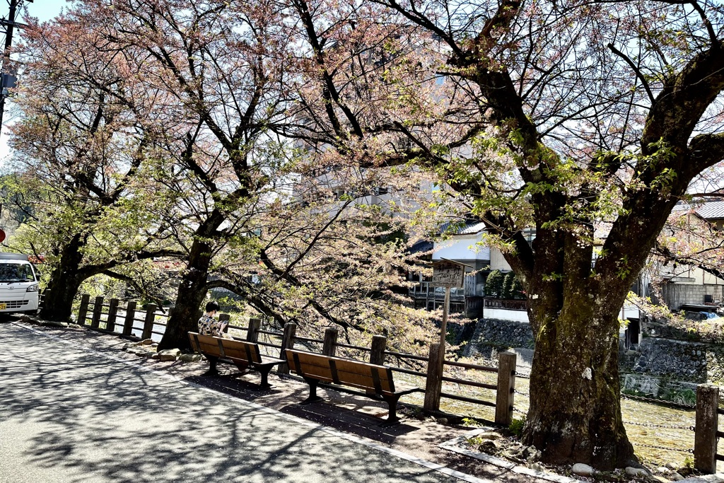 20210421高山市03
