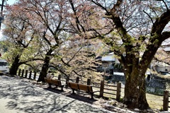 20210421高山市03