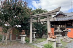20191006京都市南区01
