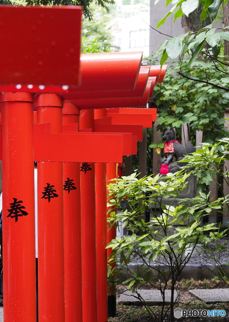 鳥居(よくあるやつ)