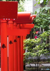 鳥居(よくあるやつ)