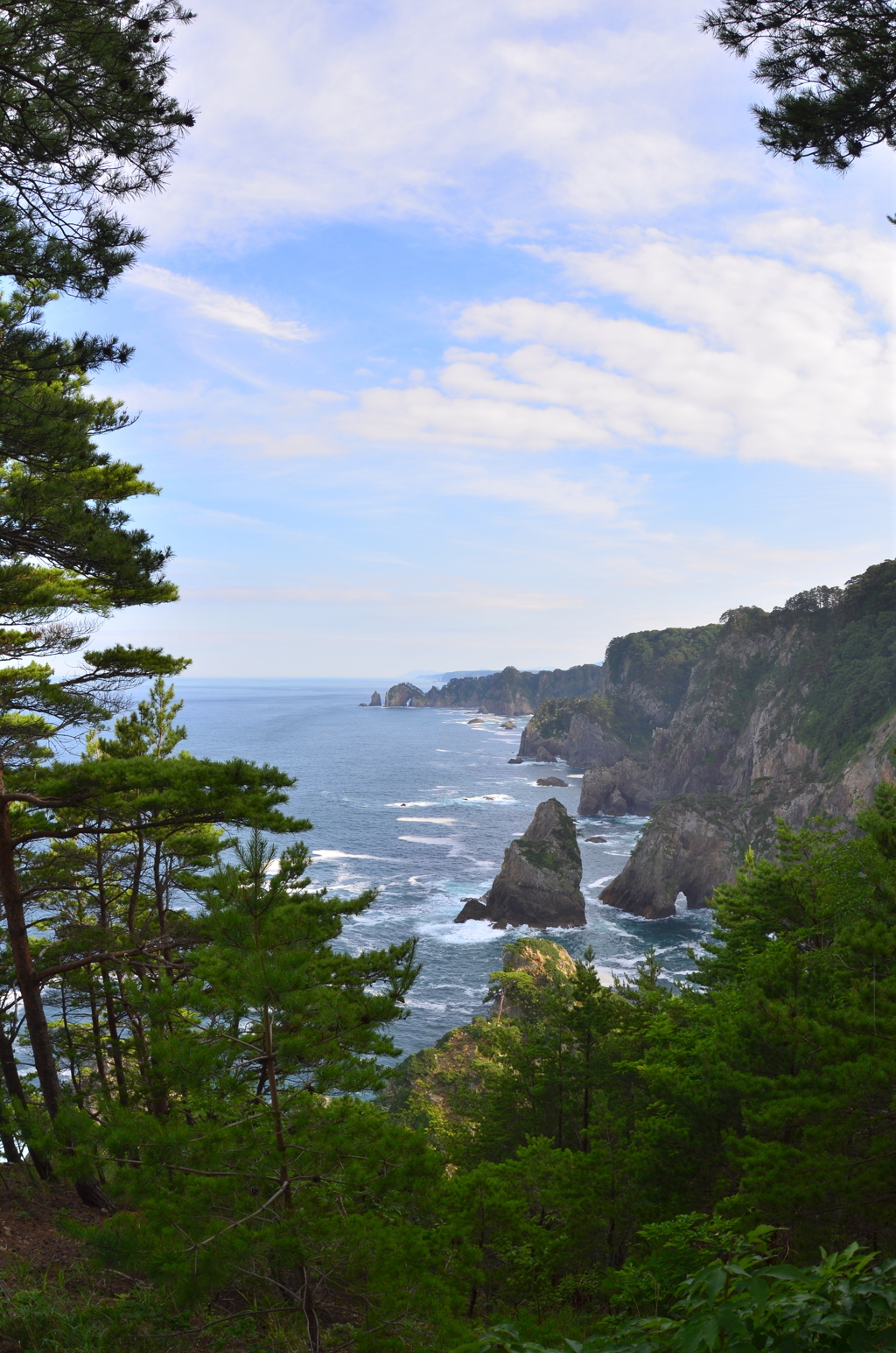 岩手県リアス式海岸