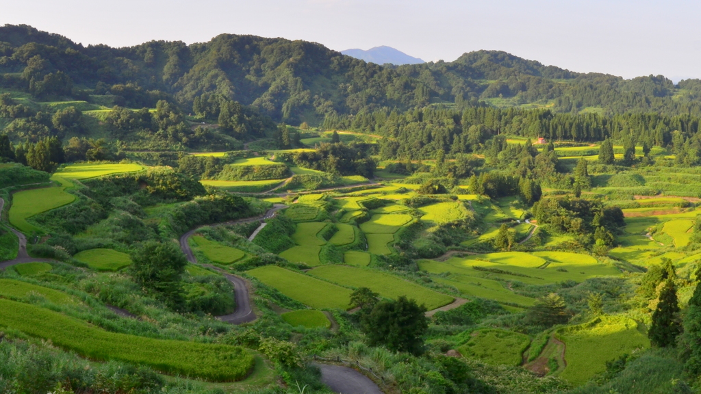 星峠の棚田/新潟県