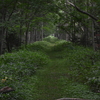 遭遇