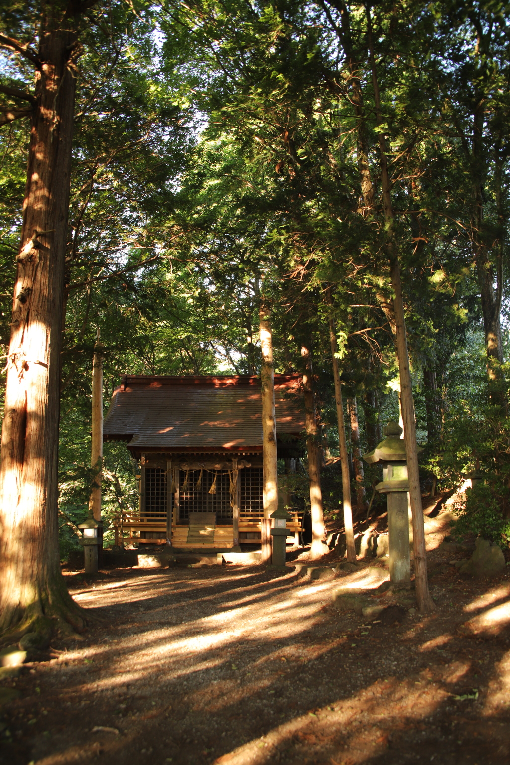 多留姫神社