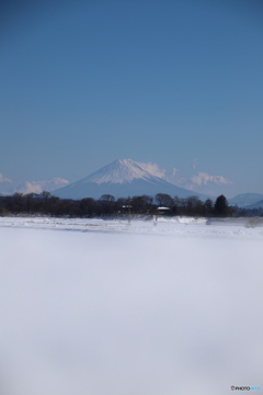 長野県から見える富士山