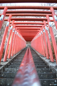 朱鳥居