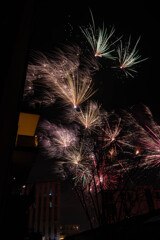 Celebration <Fireworks 2024>