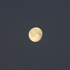 天体