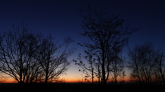 Morning Twilight