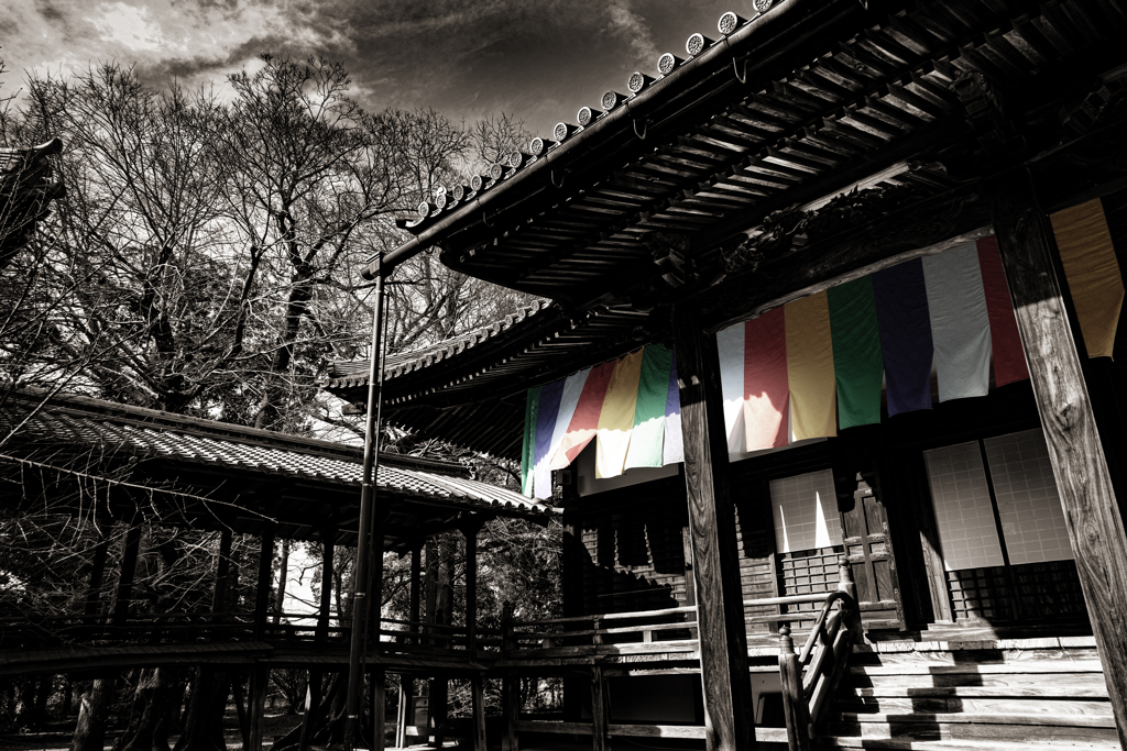 善導寺の物語 vol.6 完 「色褪せぬ教え」