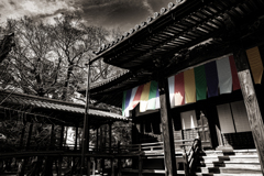 善導寺の物語 vol.6 完 「色褪せぬ教え」