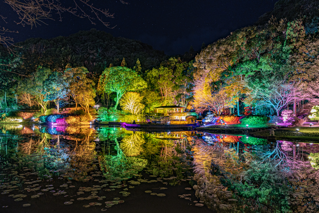 彩りの夜に感謝を込めて