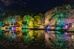 彩りの夜に感謝を込めて