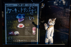 ガラス越しの看板店長