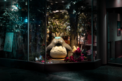 ガラス越しの森