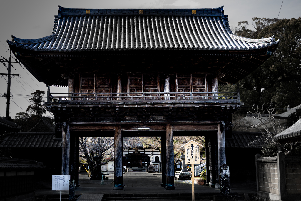 善導寺の物語 vol.1「威風」