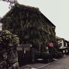 蔦宿る喫茶店