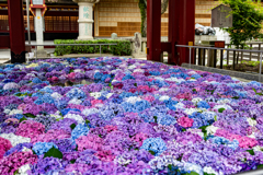 水面の万華鏡