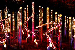 Lux Night KUMAMOTO 2024竹灯篭７