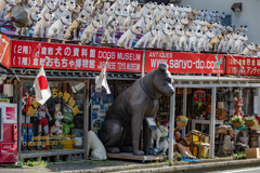  DOGS MUSEUM