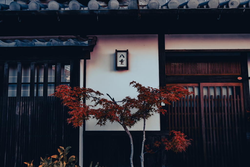 白壁に舞う紅の詩