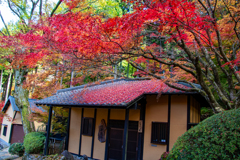 福岡県　英彦山　大権現もみじ庵