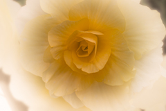 幸せのぬくもり