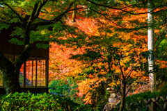 佐賀県　大興禅寺の紅葉