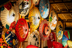 宵闇に咲く光の華