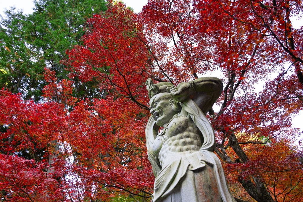 天空を焦がす、守り神