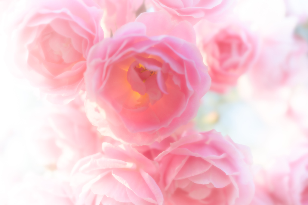 夢色のまどろみ