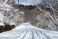くじゅう　雪遊び２