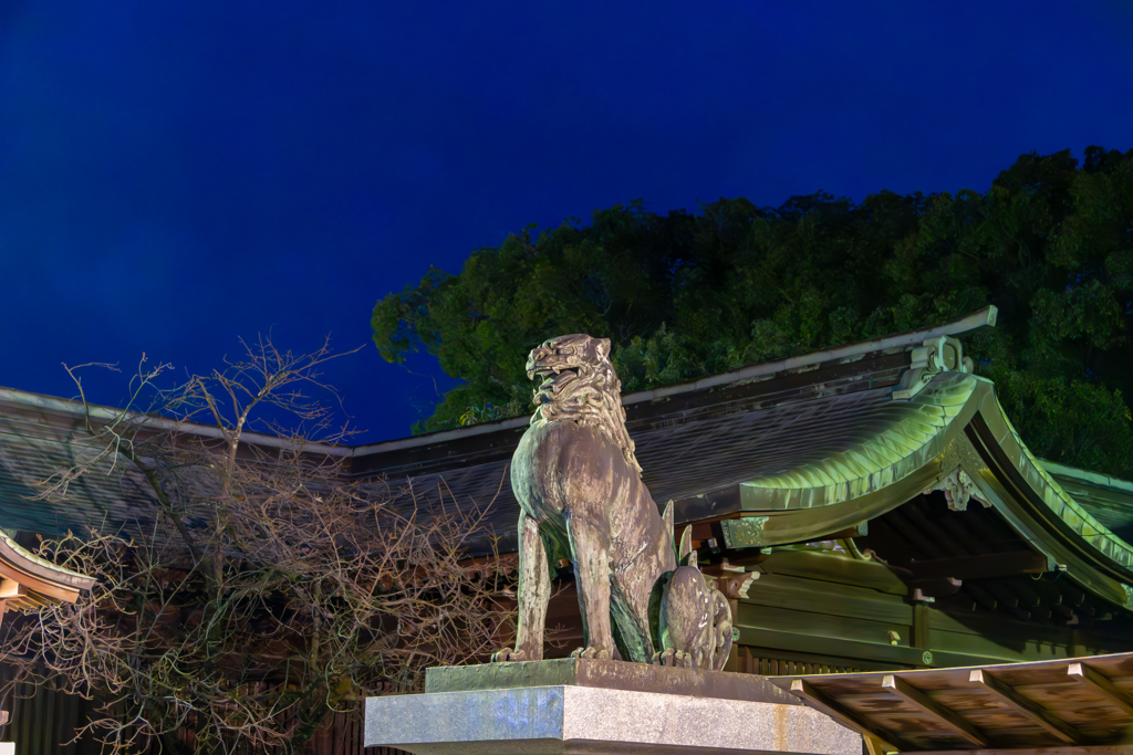 福岡県　宮地嶽神社　元日　初詣