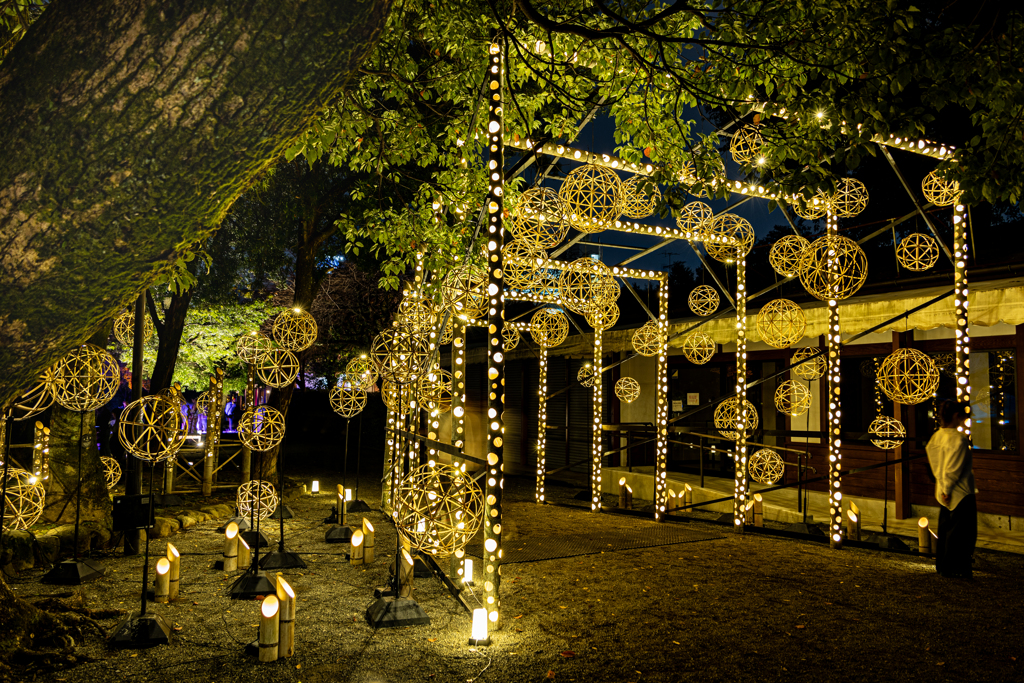 Lux Night KUMAMOTO 2024竹灯籠１